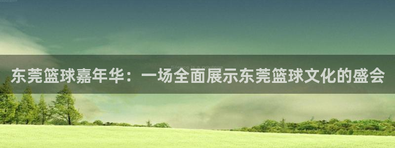 678体育停运后:东莞篮球嘉年华:一场全面展示东莞篮球文化的