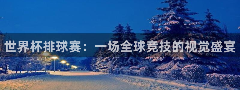 678体育知识:世界杯排球赛:一场全球竞技的视觉盛宴