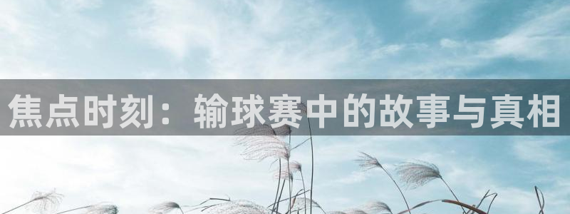 678体育世界杯赛事app:焦点时刻:输球赛中的故事与真相