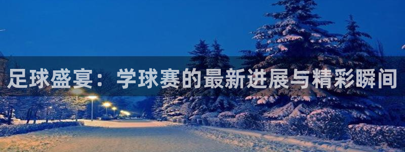 678体育直播官网:足球盛宴:学球赛的最新进展与精彩瞬间